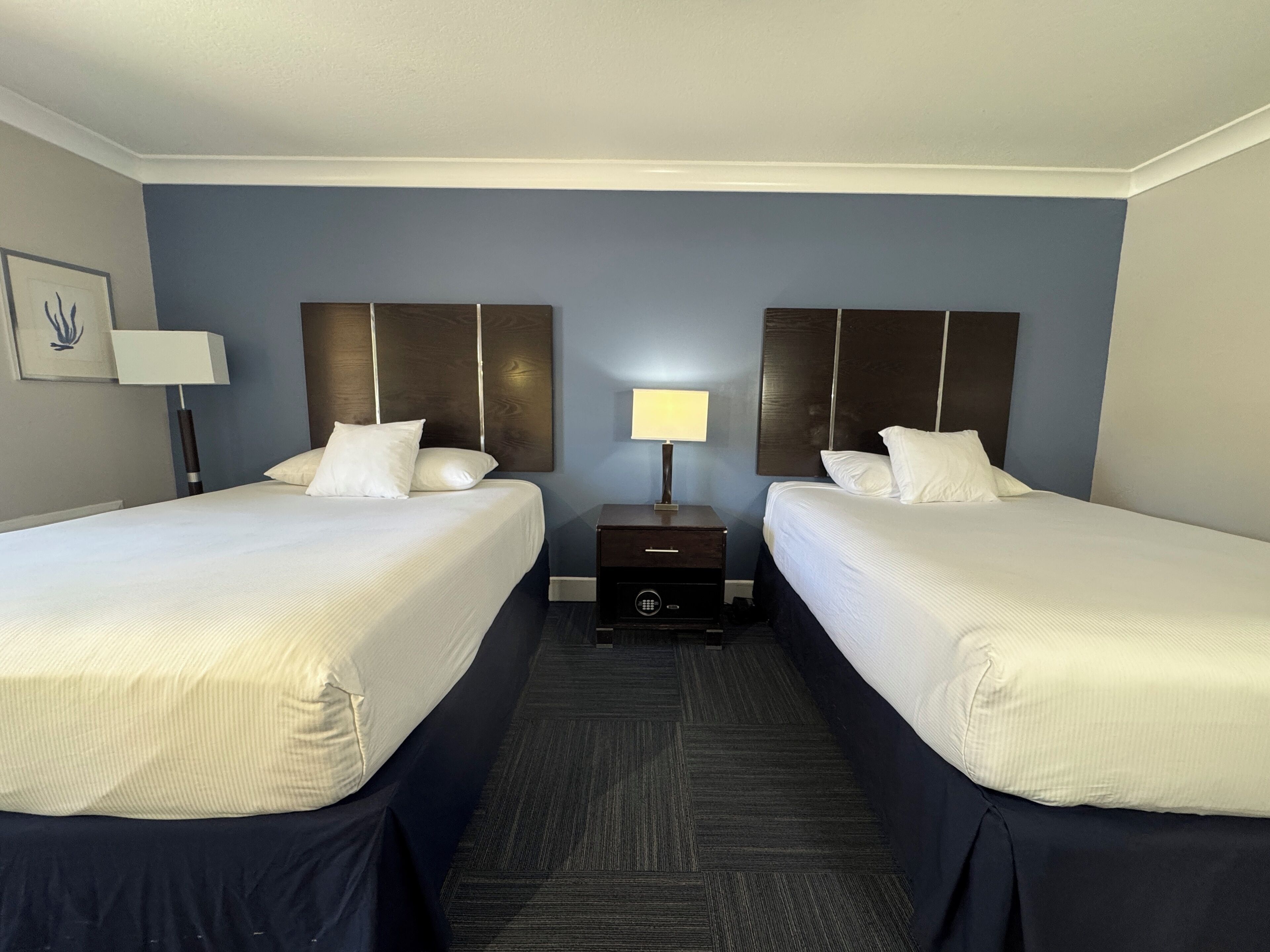 Literie hypoallergénique, coffres-forts dans les chambres, bureau