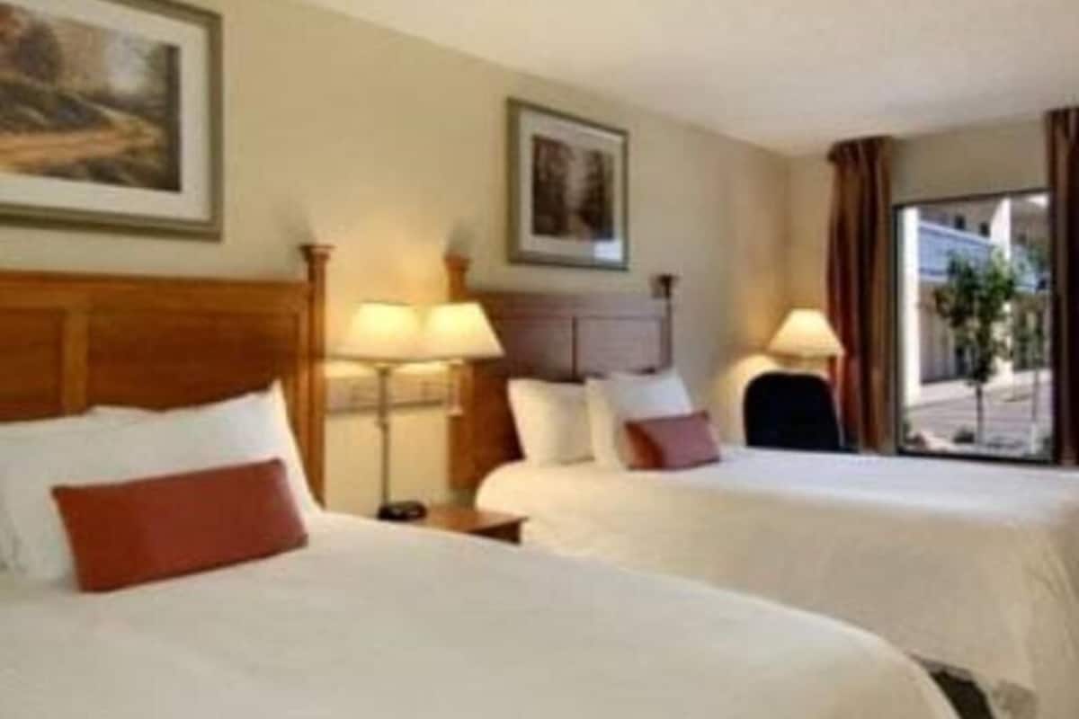 Een hotelkamer met twee bedden, een hoofdeinde, nachtkastjes, lampen en een raam met gordijnen.