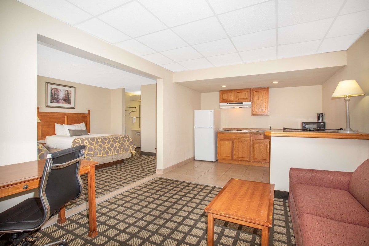 Een hotelkamer met een bed, bureau, stoel, bank, een klein tafeltje, een kitchenette met kastjes en een koelkast, en een kamerbreed tapijt met dessin.