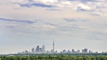 Vista a la ciudad