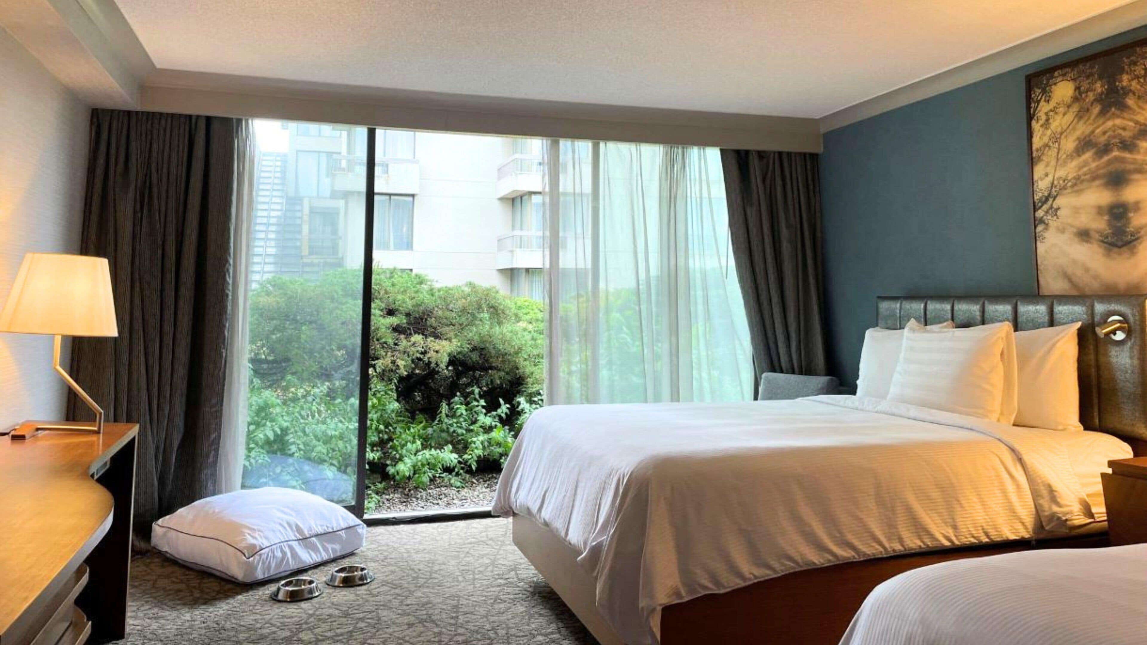 A hotel room with a bed, a bedside table with a lamp, a window with curtains, and a view of greenery outside.