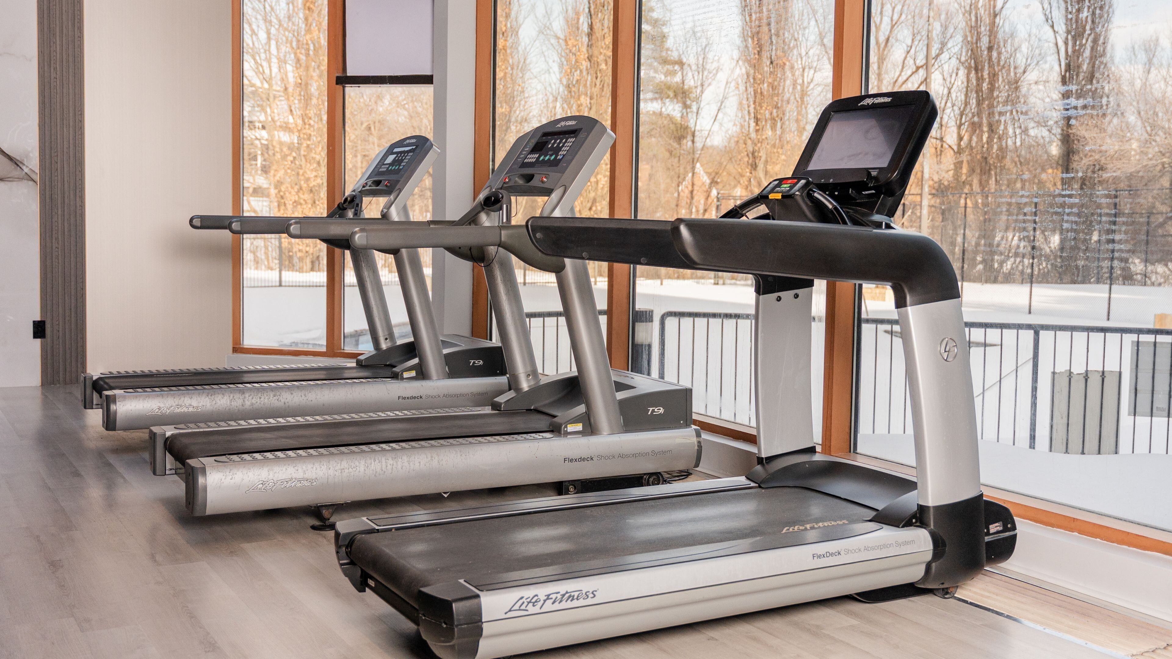 Varias cintas de correr con pantallas digitales, un sistema de amortiguación FlexDeck y vistas a un paisaje nevado a través de amplios ventanales.