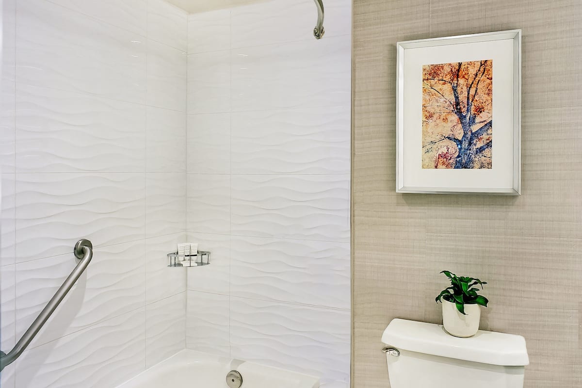 Combined shower/bathtub, free toiletries, hair dryer, towels