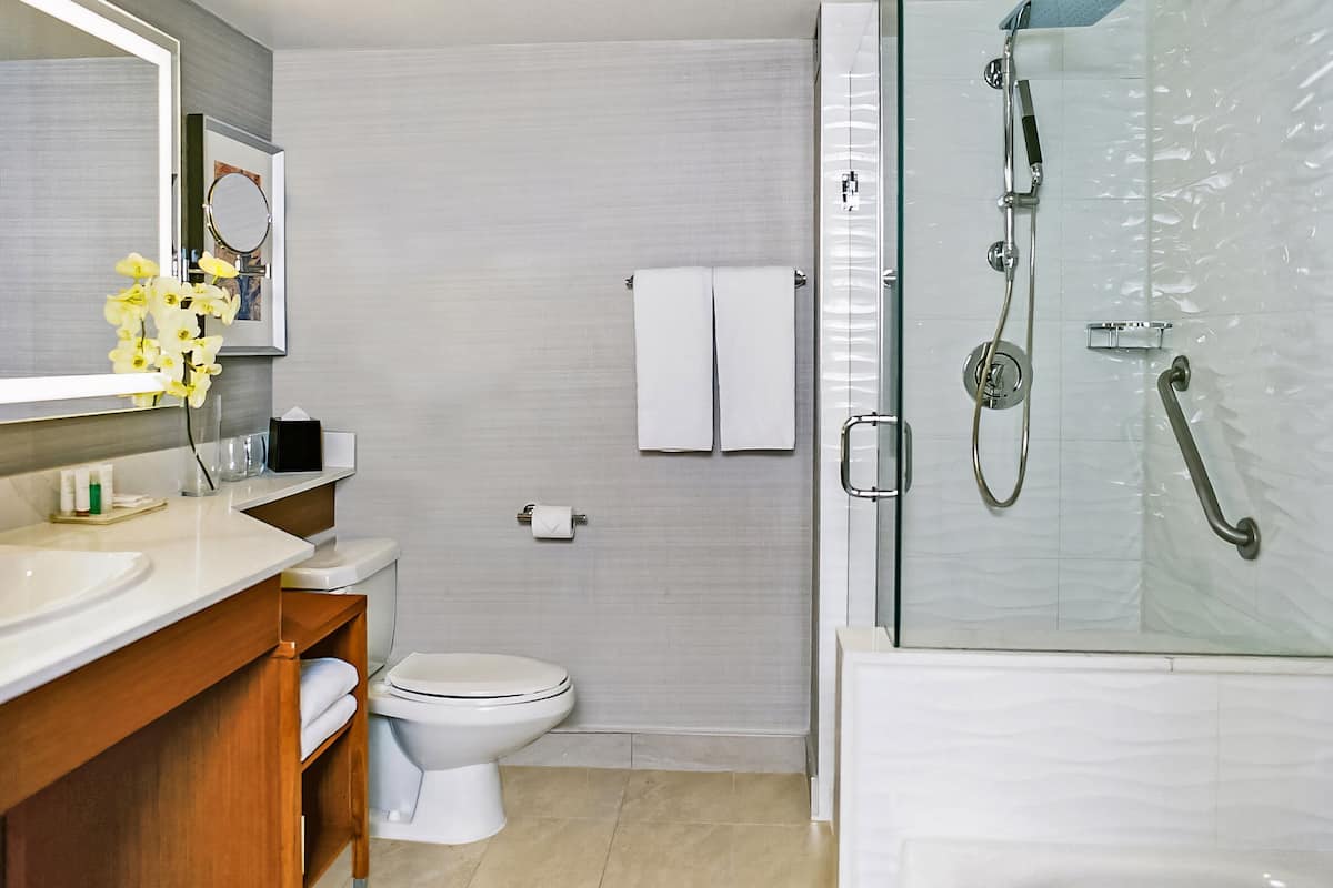 Combined shower/tub, free toiletries, hair dryer, towels