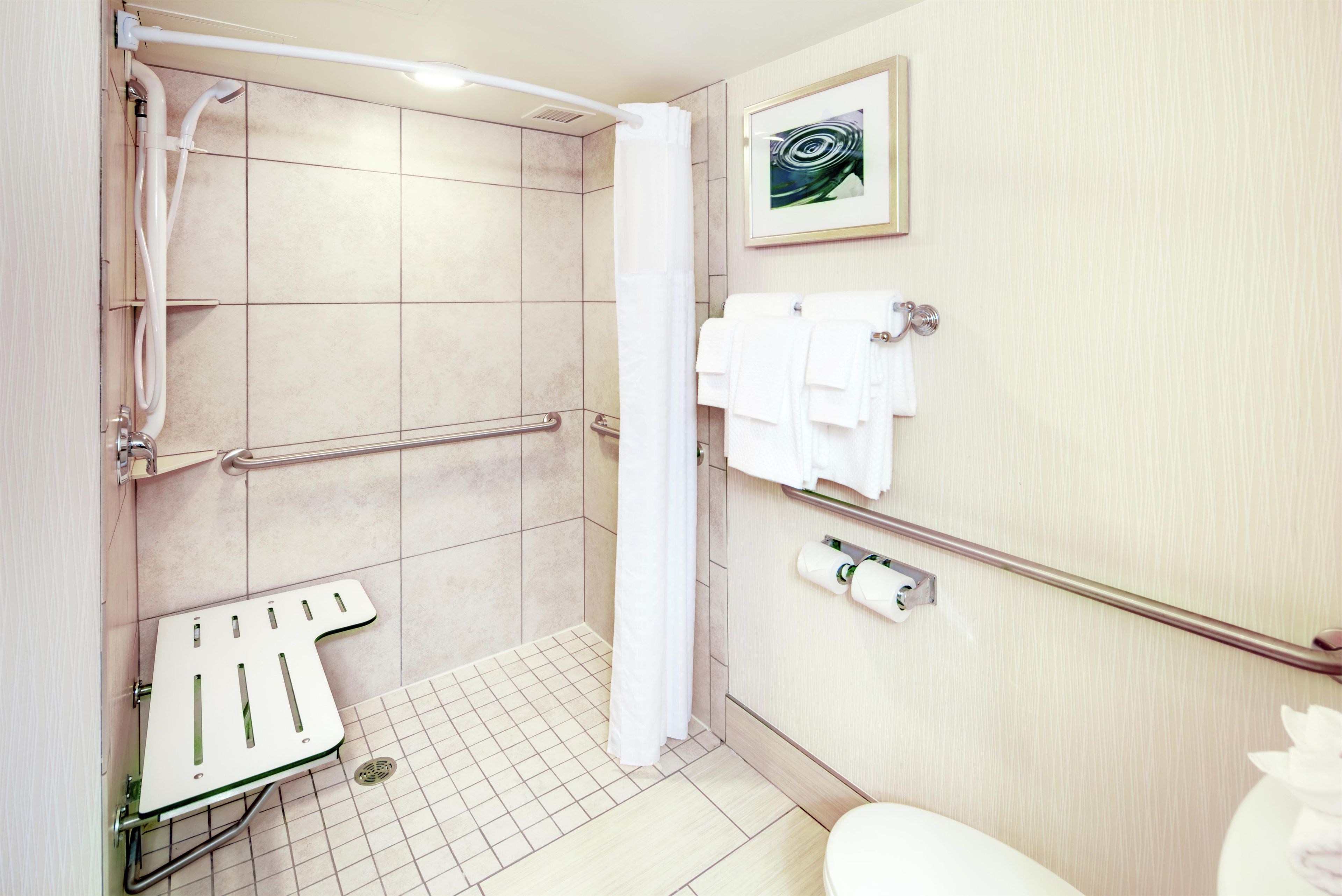 A bathroom with a shower, toilet, and a handrail.