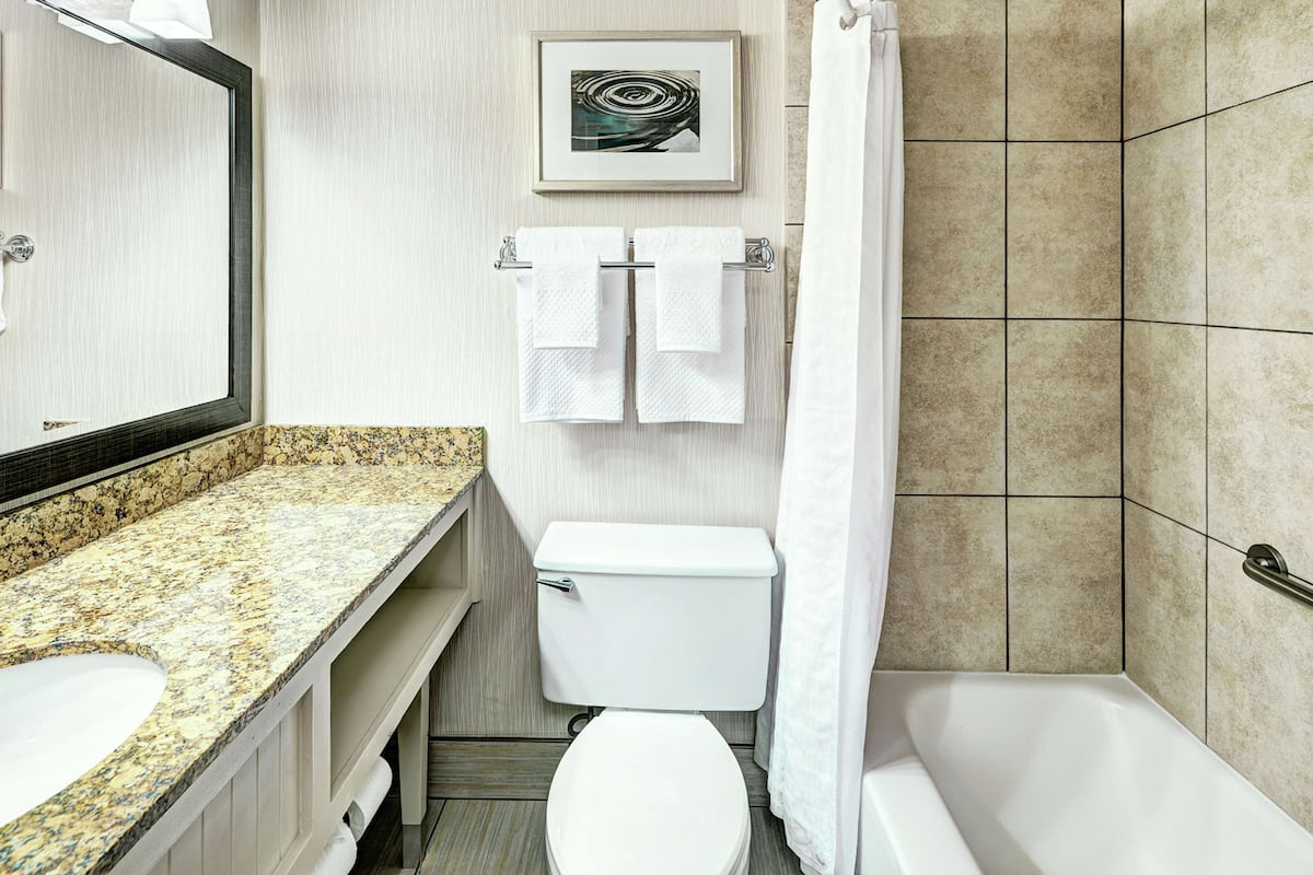 shower, designer toiletries, hair dryer, towels