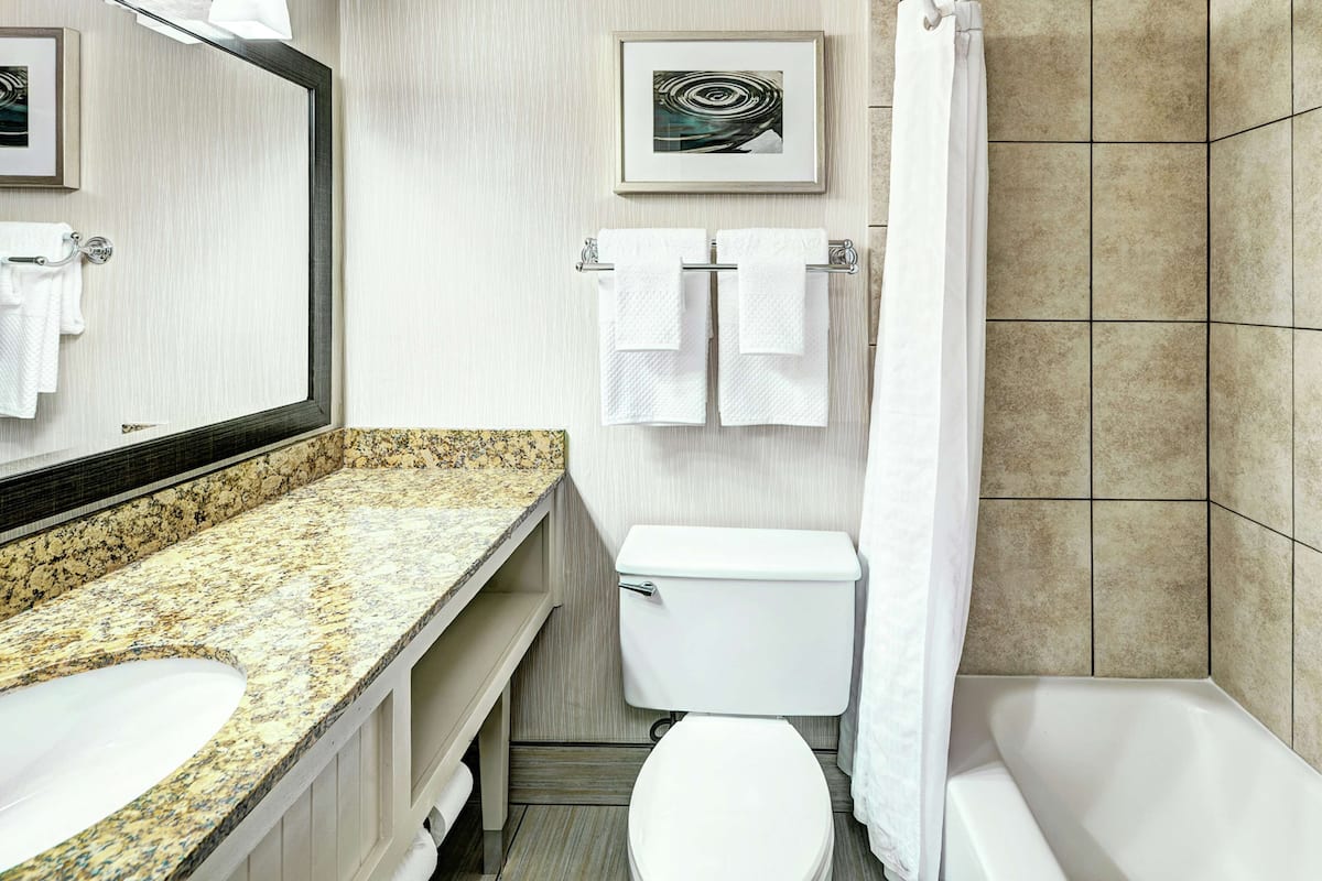 Dusche, Designer-Toilettenartikel, Haartrockner, Handtücher