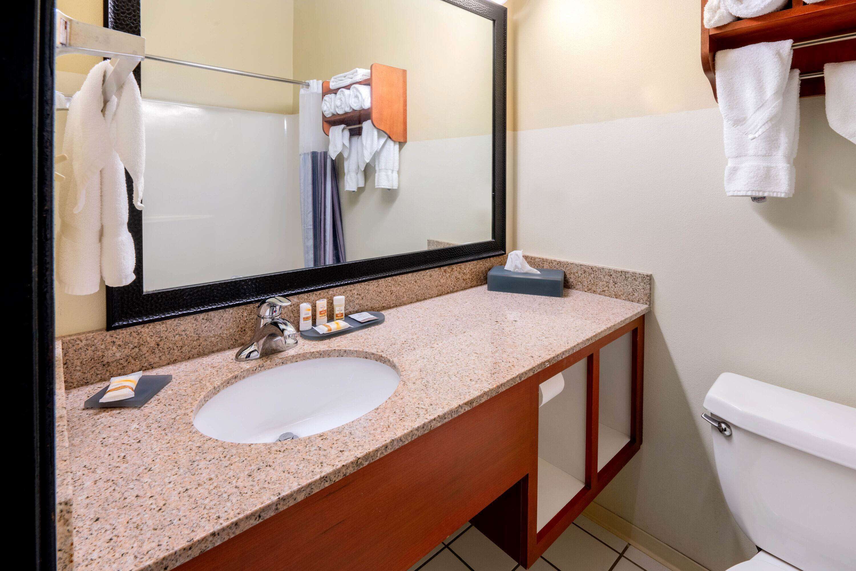 Une salle de bain avec un lavabo à vasque en granit, un miroir, un porte-serviettes et des toilettes.