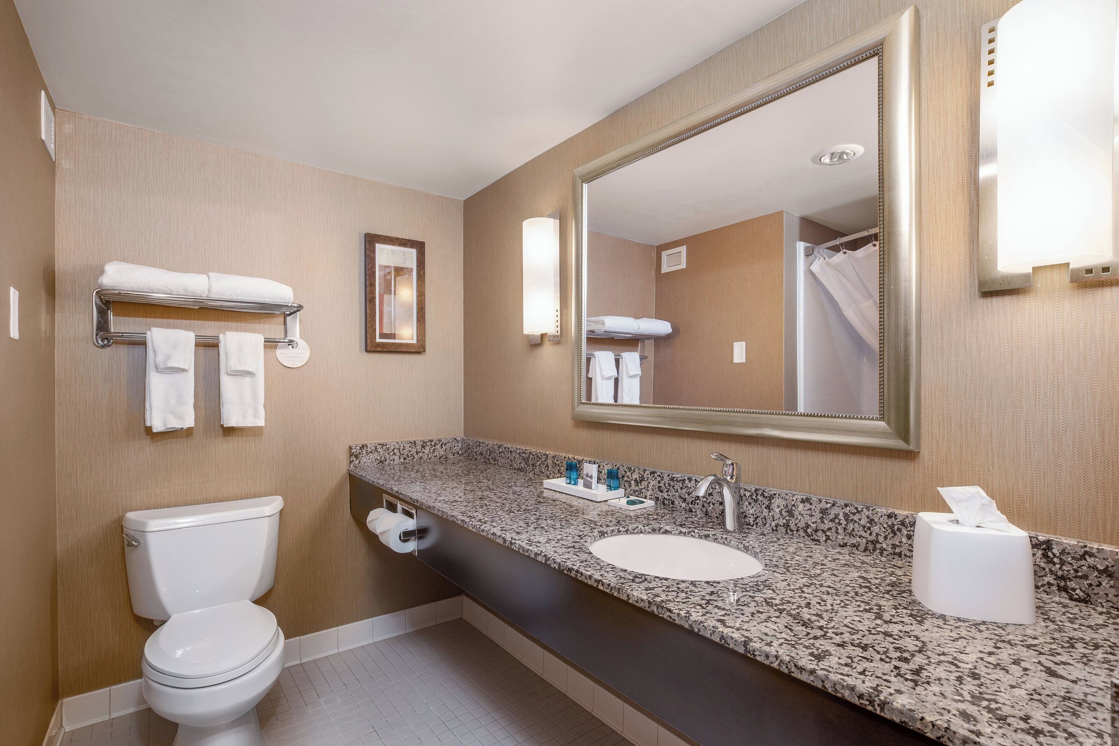 A bathroom with a toilet, sink, mirror, towel rack, and a framed picture on the wall.