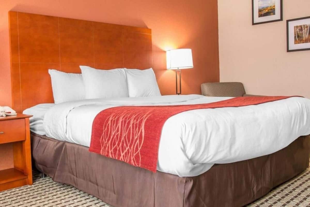 In-room safe, iron/ironing board, free cribs/infant beds, free WiFi