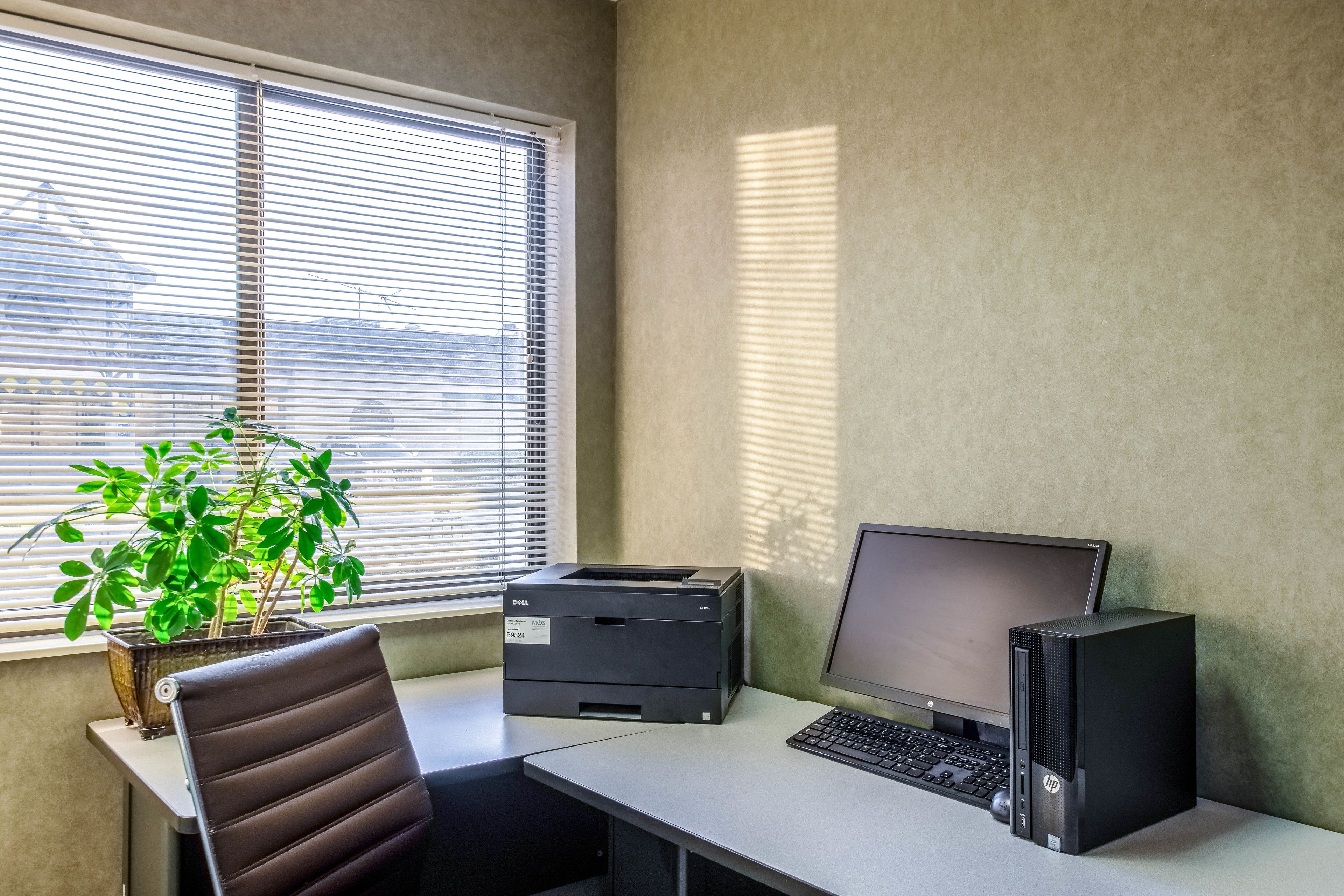 A home office setup with a desk, computer, printer, and a potted plant.
