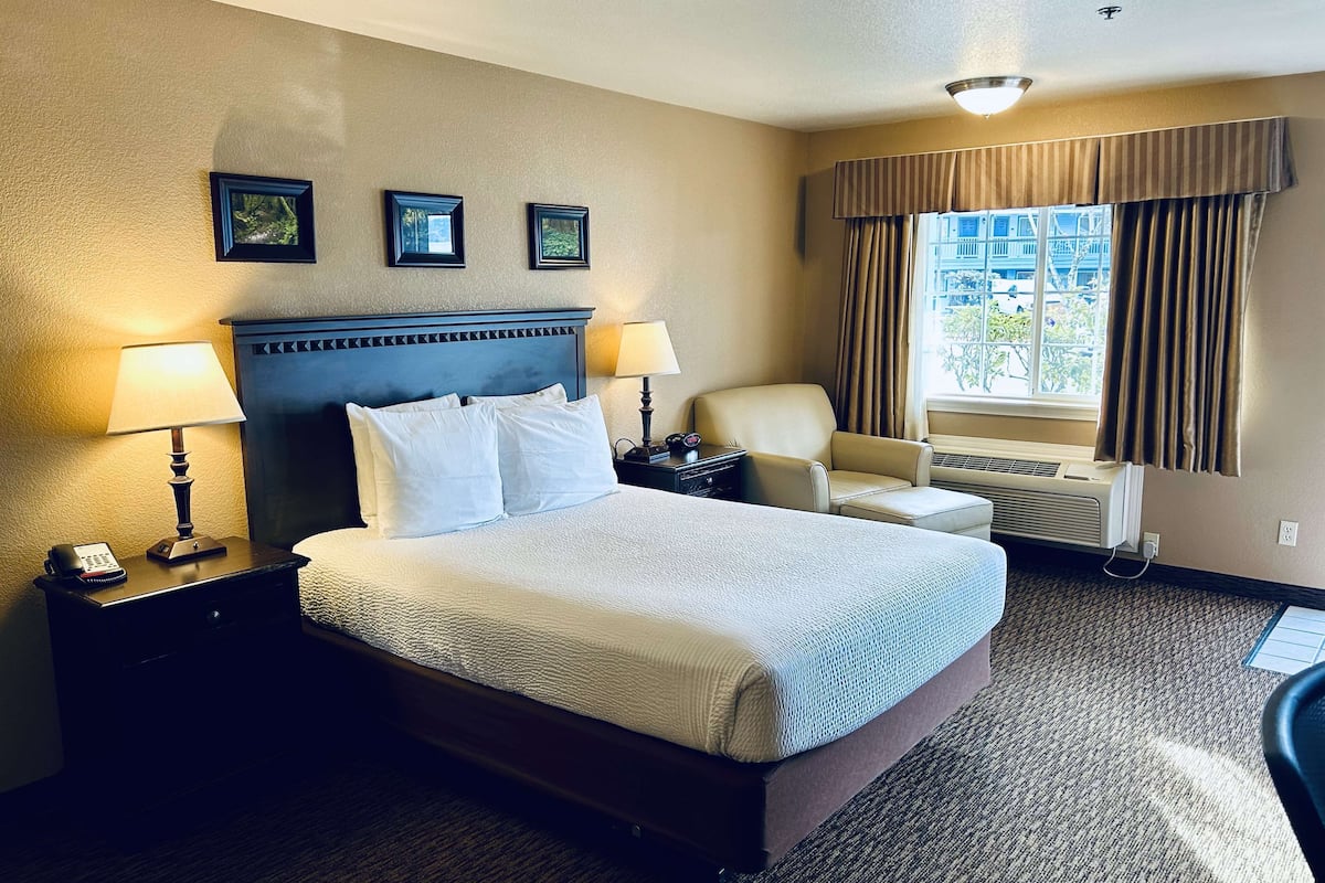 Premium bedding, desk, laptop workspace, blackout curtains