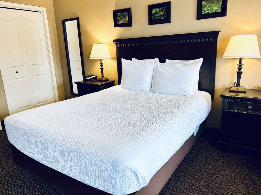 A hotel room with a large bed, two bedside tables with lamps, a door, and framed pictures on the wall.