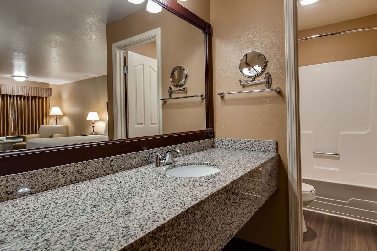 combined shower/bathtub, free toiletries, hair dryer, towels