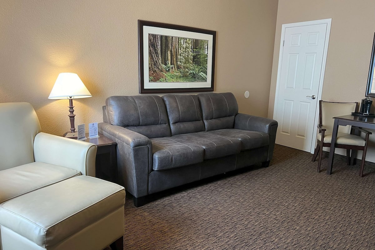 Suite, 1 Queen Bed, Non Smoking, Refrigerator & Microwave (with Sofabed)