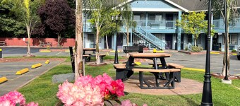 Best Western Country Inn