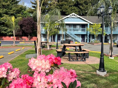 Best Western Country Inn