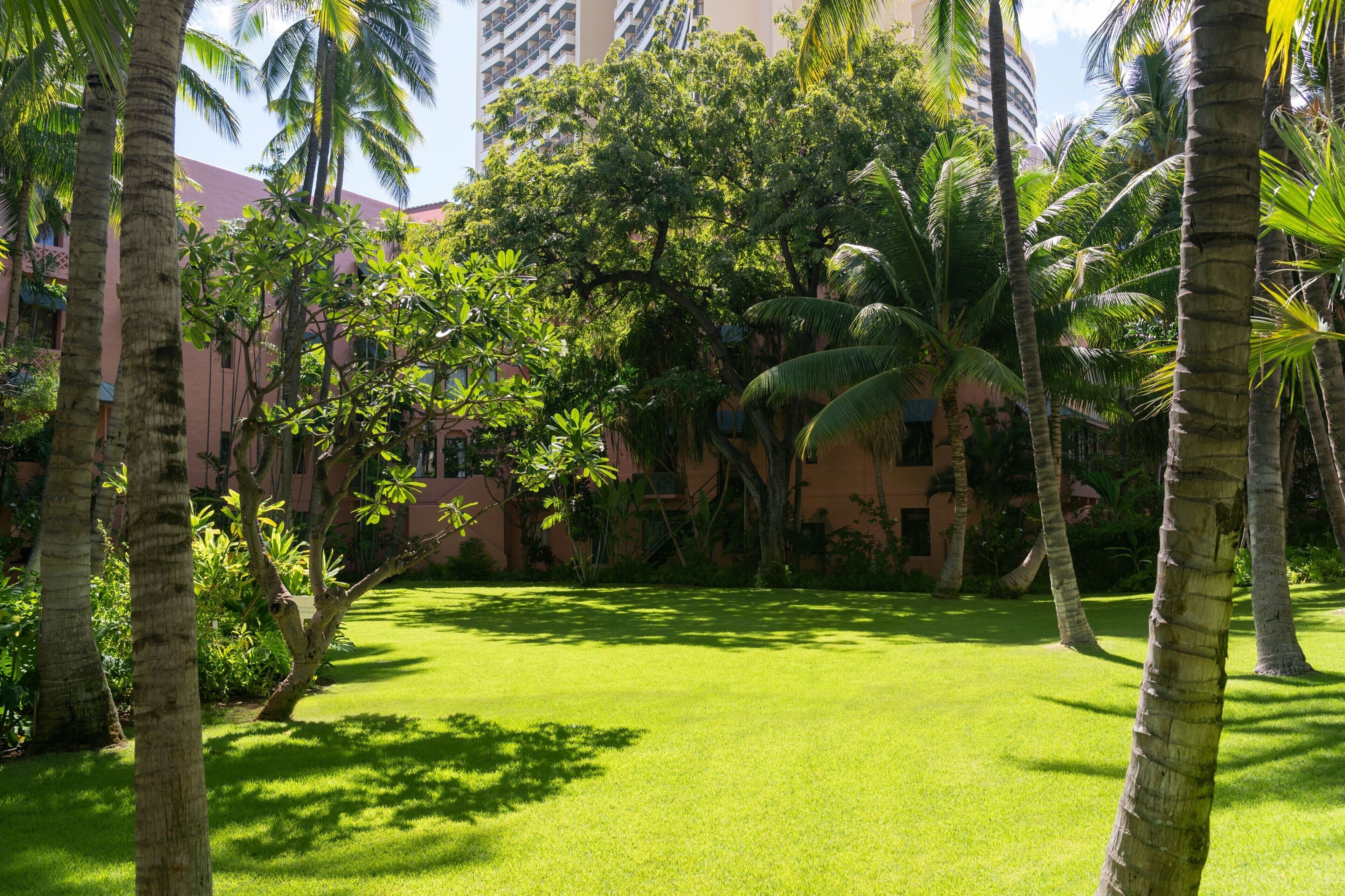 Un rigoglioso giardino con palme e un edificio sullo sfondo.