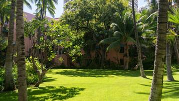 Un rigoglioso giardino con palme e un edificio sullo sfondo.