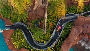 A water slide with a curved path, surrounded by lush greenery and rocks. - The Royal Hawaiian, a Luxury Collection Resort, Waikiki (Honolulu)