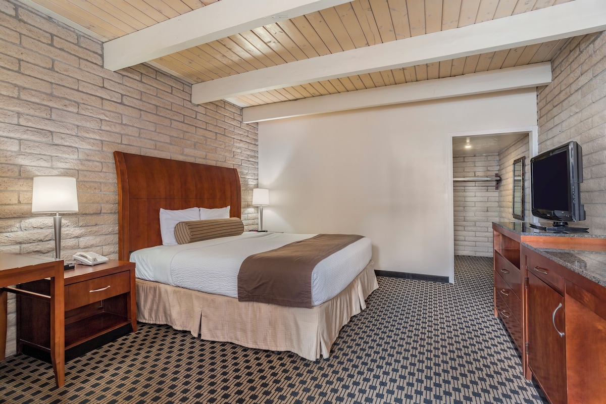 Habitación de hotel con pared de ladrillo, techo de madera, cama con cabecero, mesitas de noche con lámparas, televisor sobre un mueble de madera y suelo con estampado.