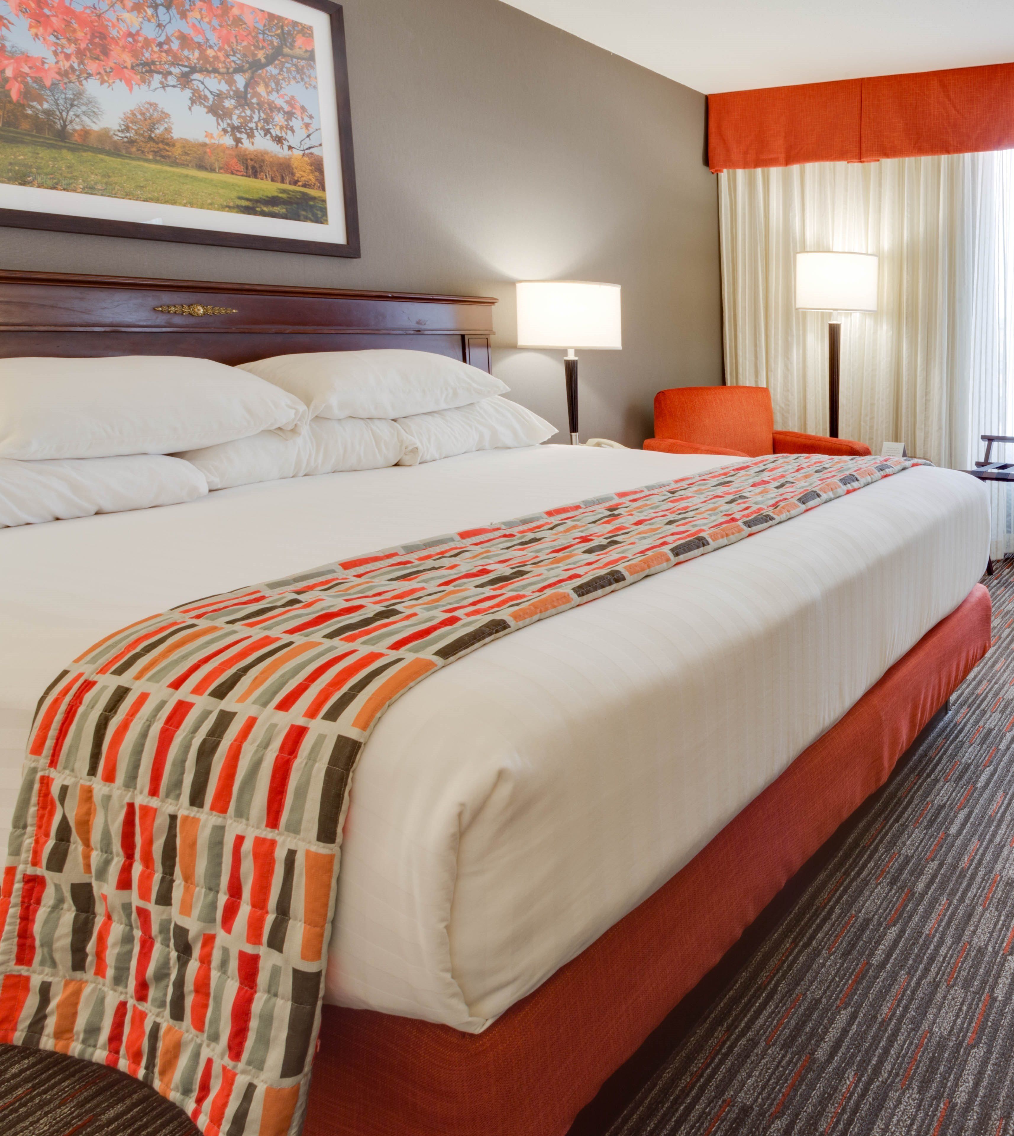 desk, blackout curtains, iron/ironing board, free cots/infant beds