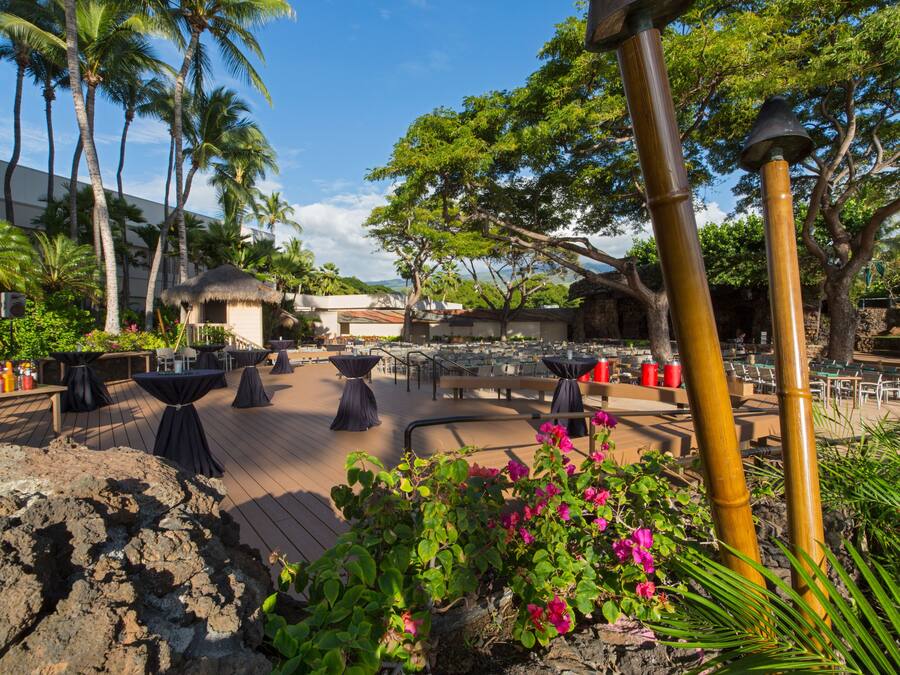 An outdoor dining area with tables and chairs, surrounded by tropical plants and palm trees.