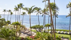 A beach view with palm trees, a clear sky, and a calm sea.