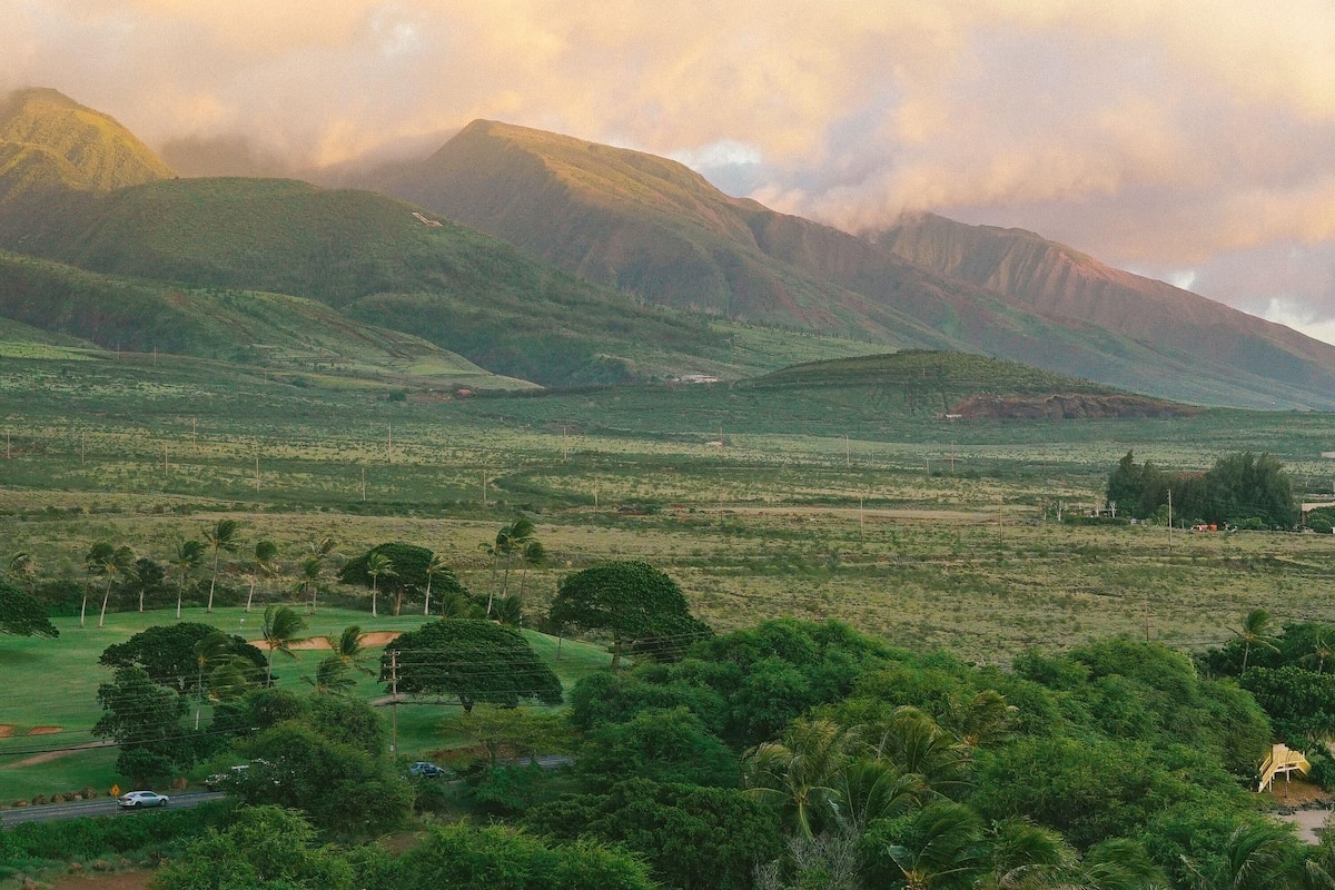 Hochwertige Bettwaren, Zimmersafe, Schreibtisch, Verdunkelungsvorhänge