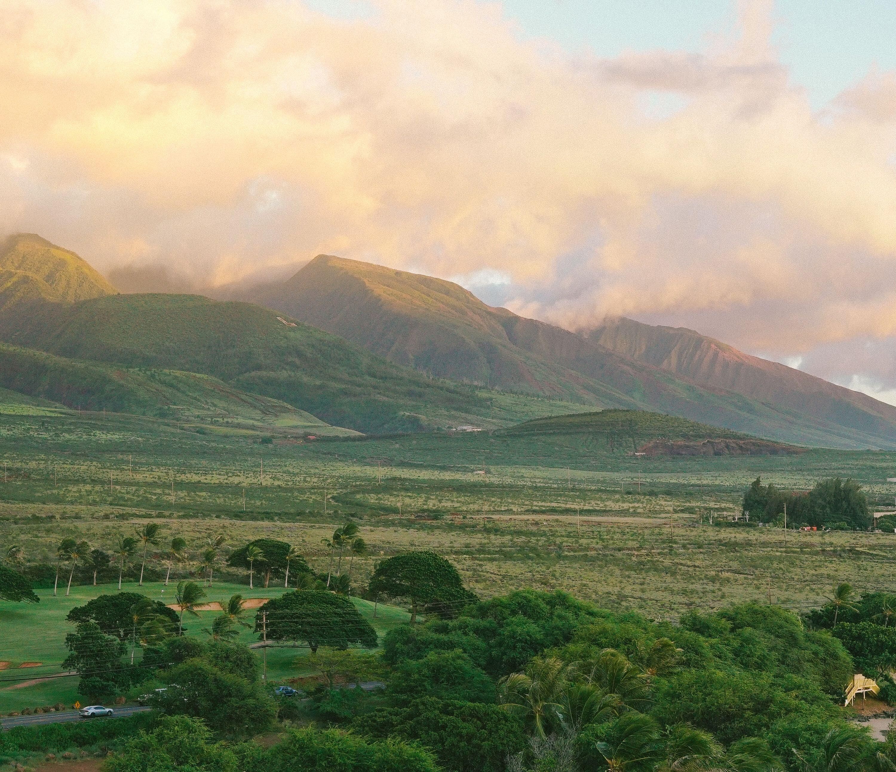 Paisaje montañoso con una carretera y vegetación en primer plano.