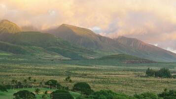 Paisaje montañoso con una carretera y vegetación en primer plano.