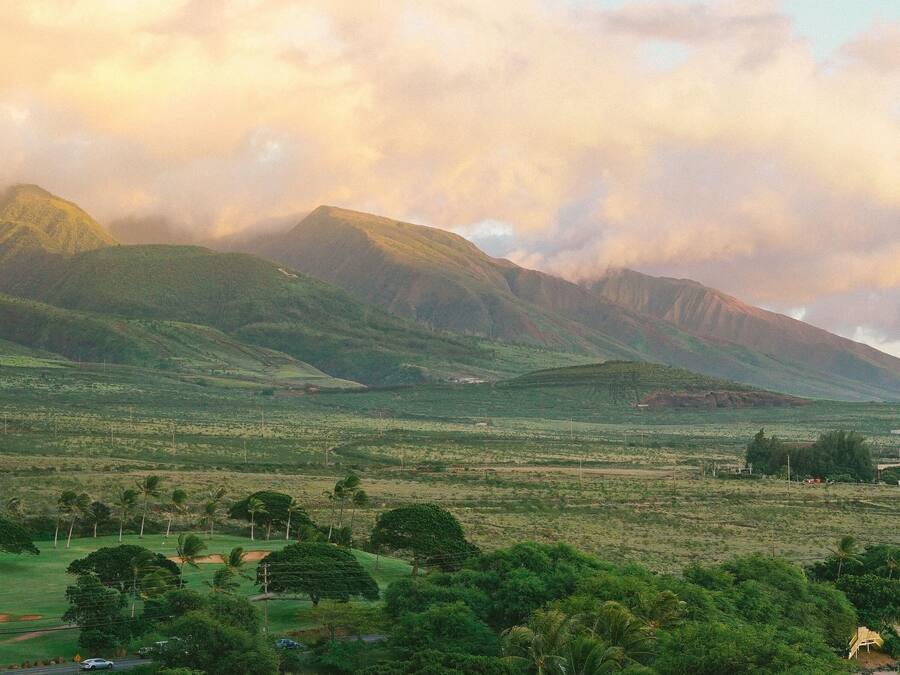 Paisaje montañoso con una carretera y vegetación en primer plano.