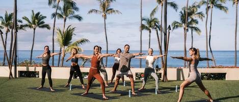 Un grupo de personas realizando ejercicios de yoga al aire libre, con vista a palmeras y al océano de fondo.
