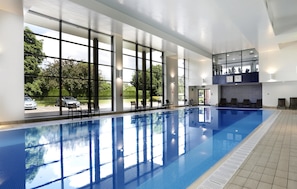 Indoor pool, sun loungers