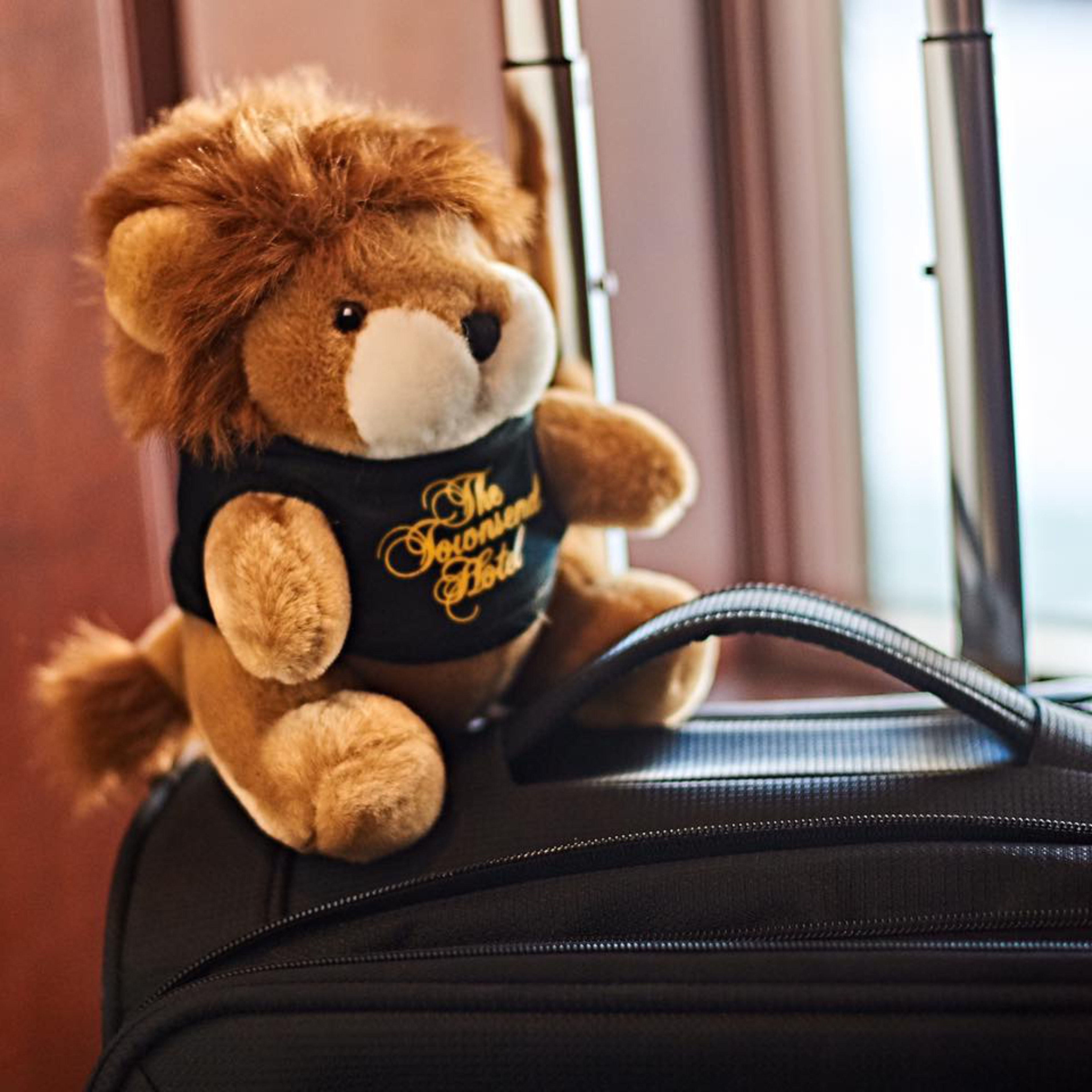 children’s activities