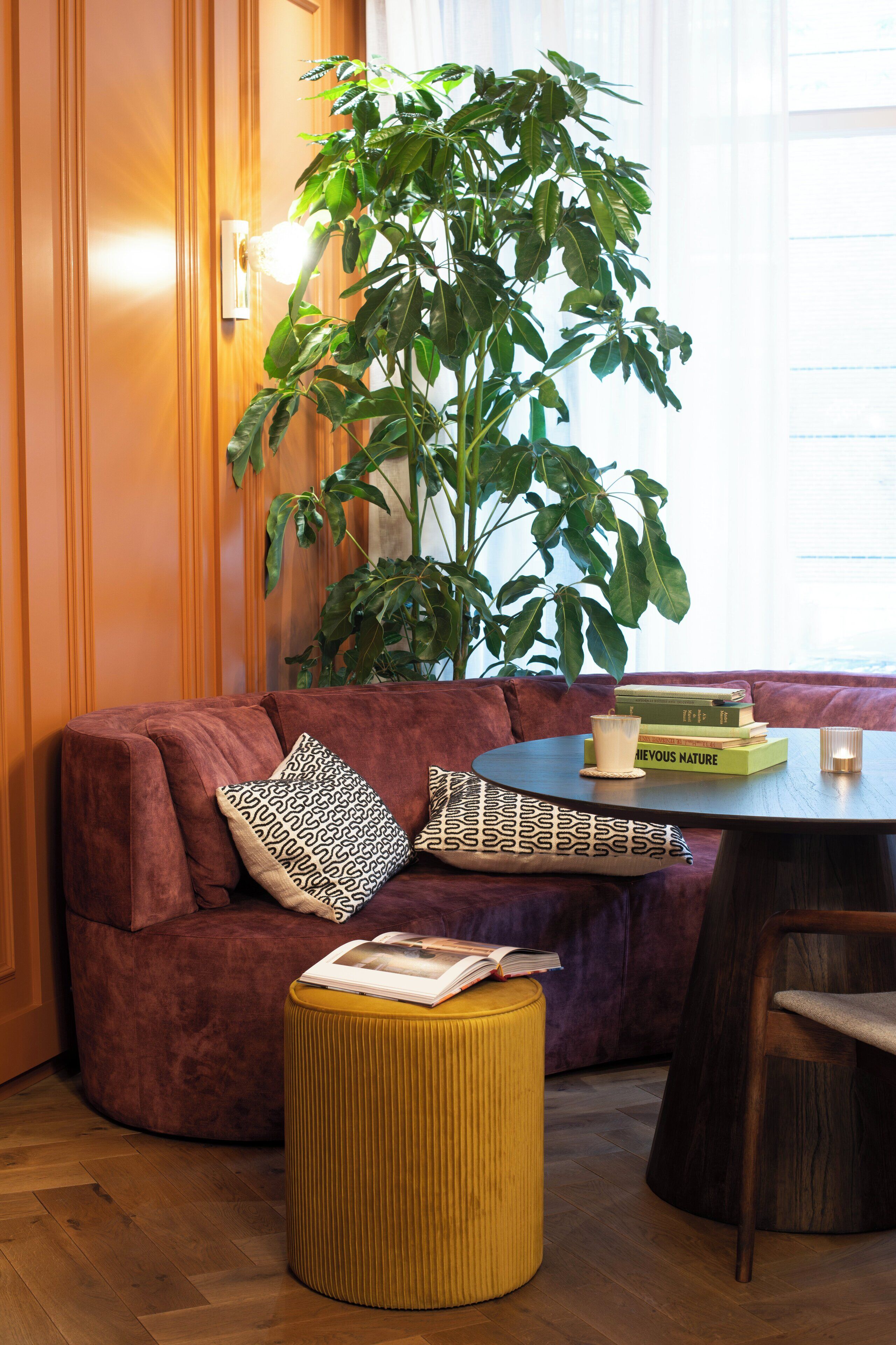 A cozy room with a plush red sofa, a large green plant, and a small round table with books and a candle.