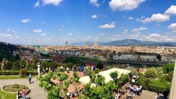 A panoramic view of a city with a prominent cathedral and river.