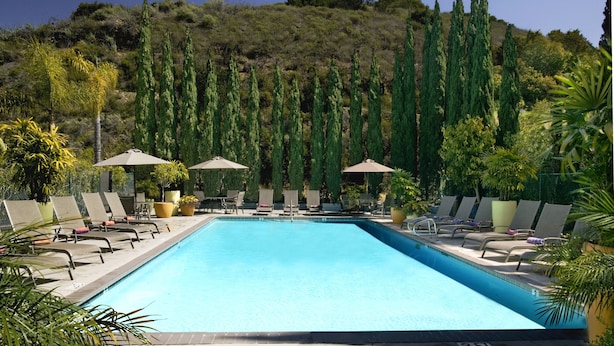 Una piscina rectangular con sillas de descanso y sombrillas, rodeada de altos árboles y follaje.