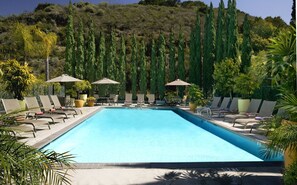 Une piscine rectangulaire entourée de chaises longues et de parasols, le tout bordé de grands arbres et de verdure.