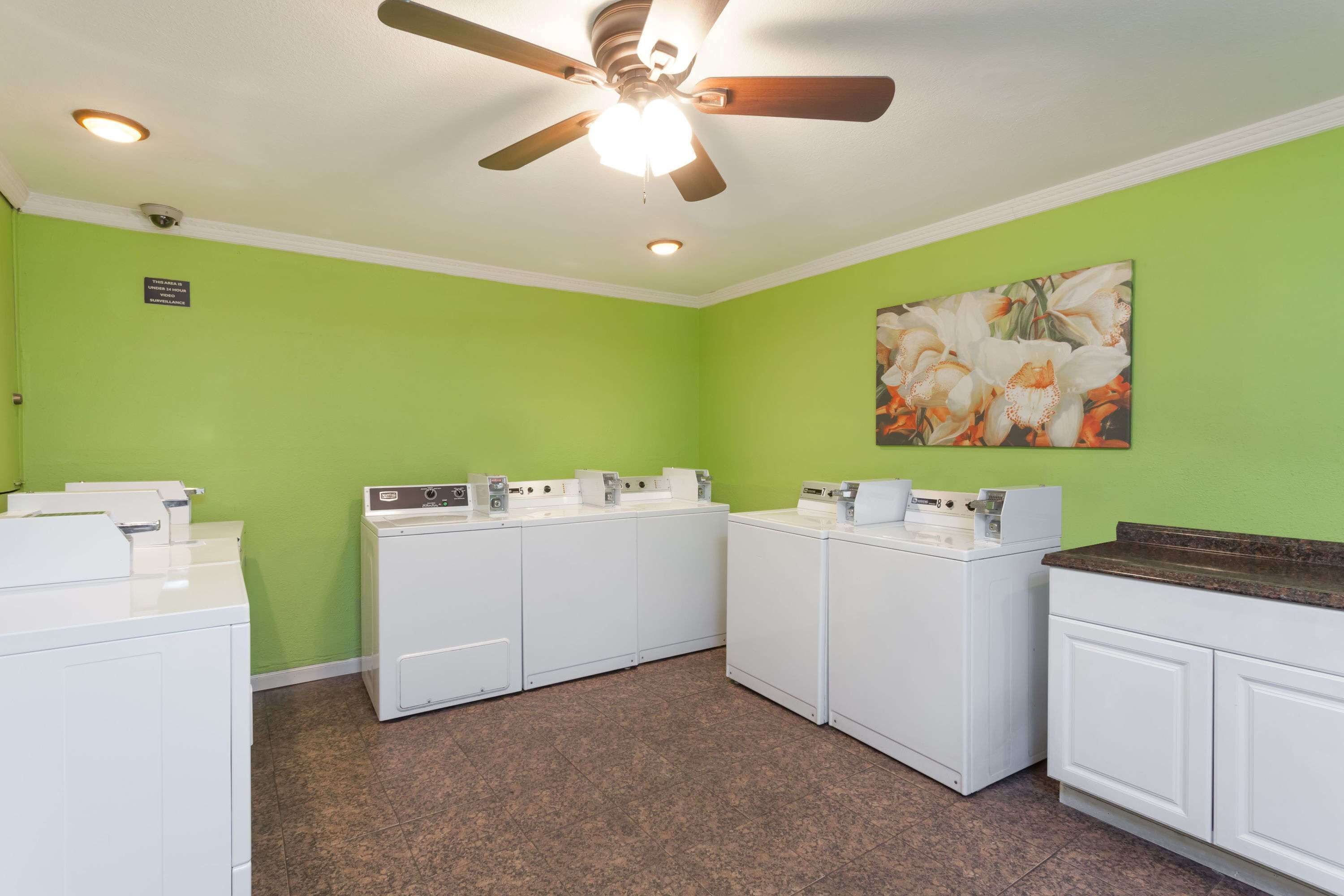 A laundry room with four white washers and dryers, a ceiling fan, and a green wall with a floral painting.