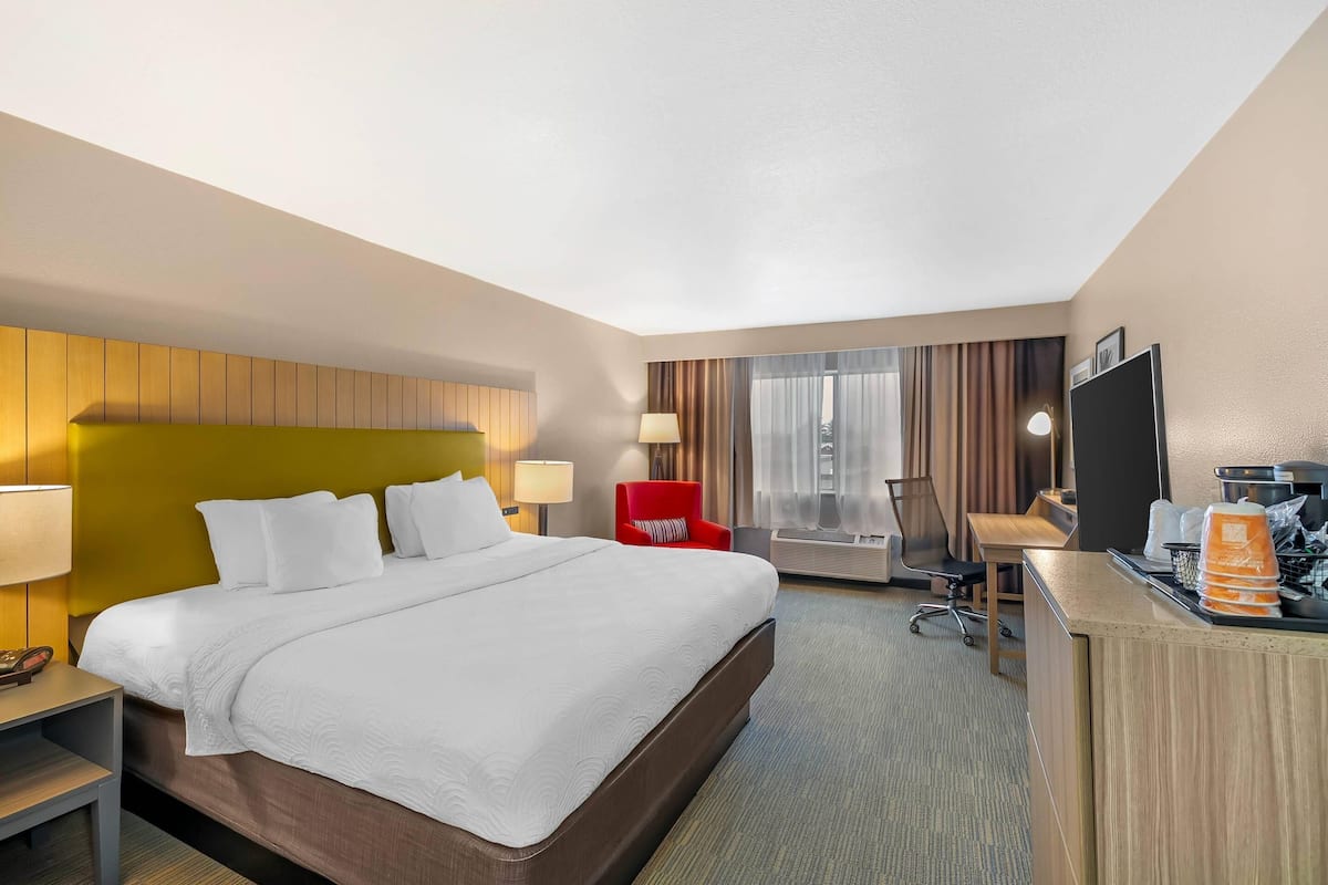 Room, 1 King Bed, Non Smoking | Desk, laptop workspace, blackout drapes, iron/ironing board