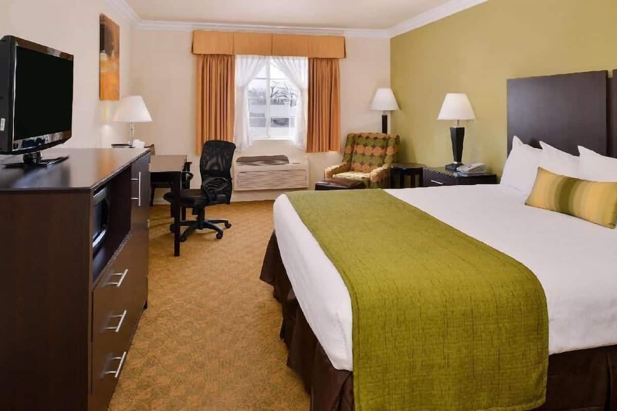 Iron/ironing board, bed sheets