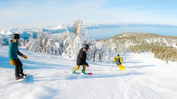 Snø- og skisport