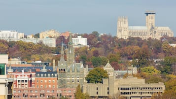 A cityscape with a prominent cathedral and surrounding buildings.