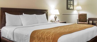 Comfort Inn Lakeside
