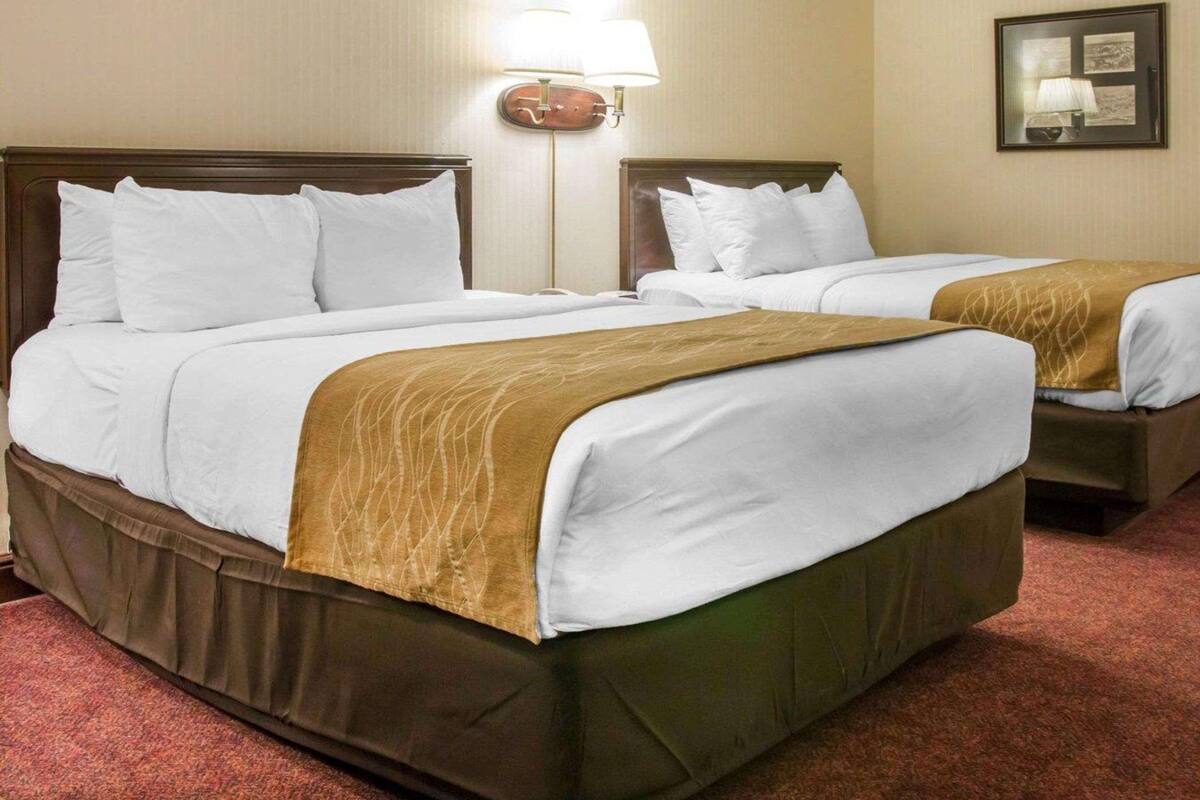Ropa de cama de alta calidad, escritorio, sistema de insonorización