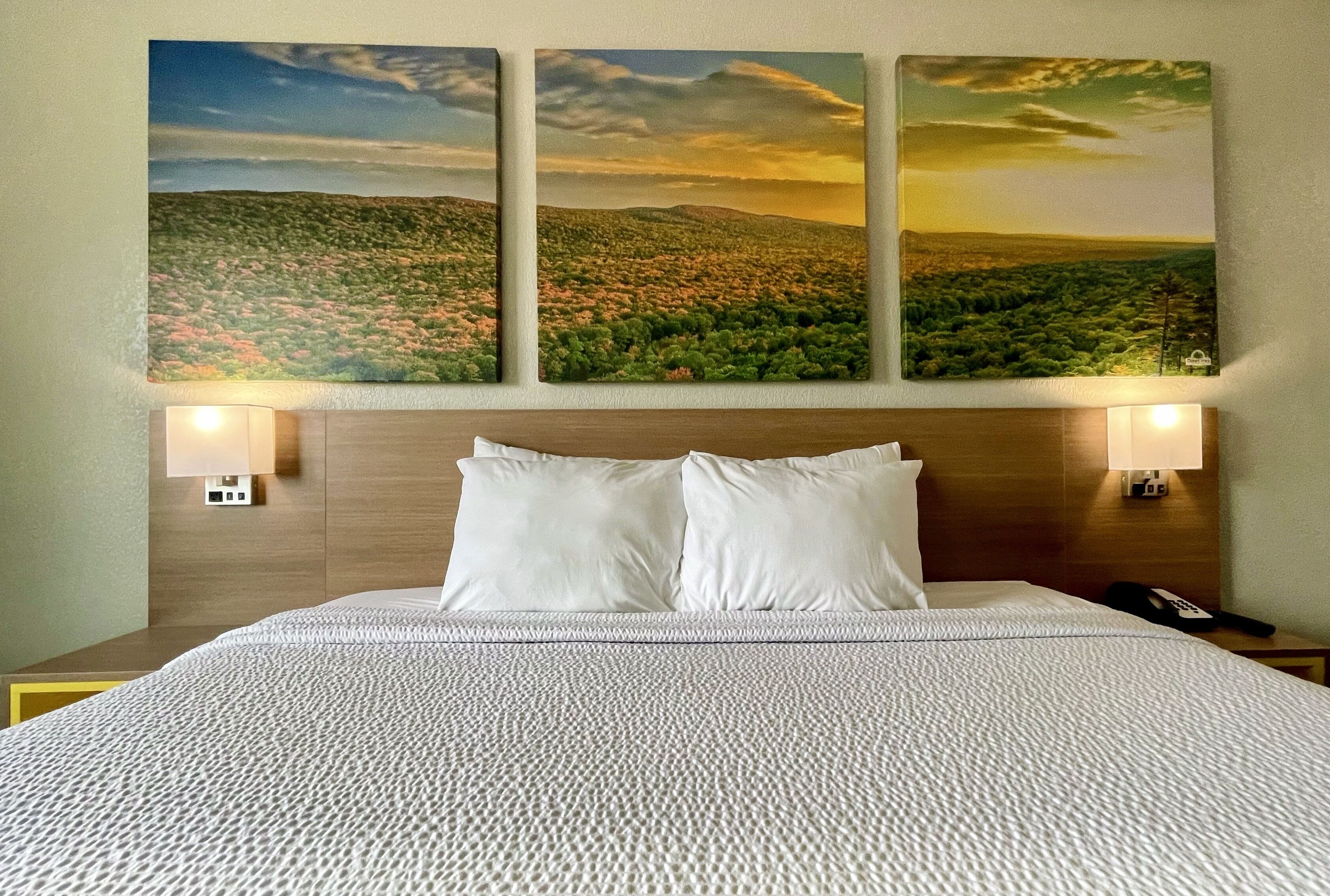 Habitación de hotel con una cama grande, ropa de cama blanca y tres cuadros de paisajes en la pared.