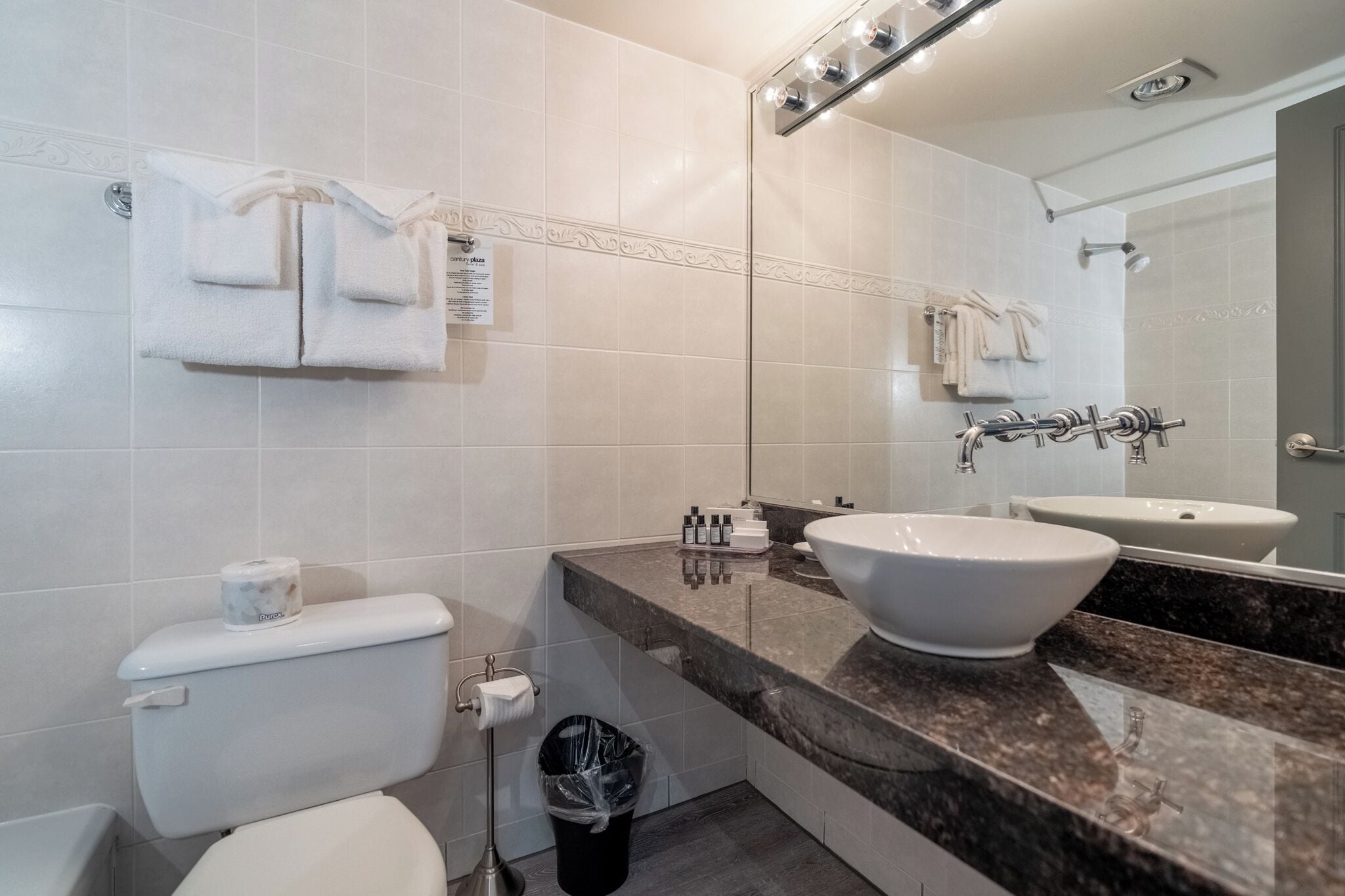 combined shower/bathtub, free toiletries, hair dryer, bathrobes