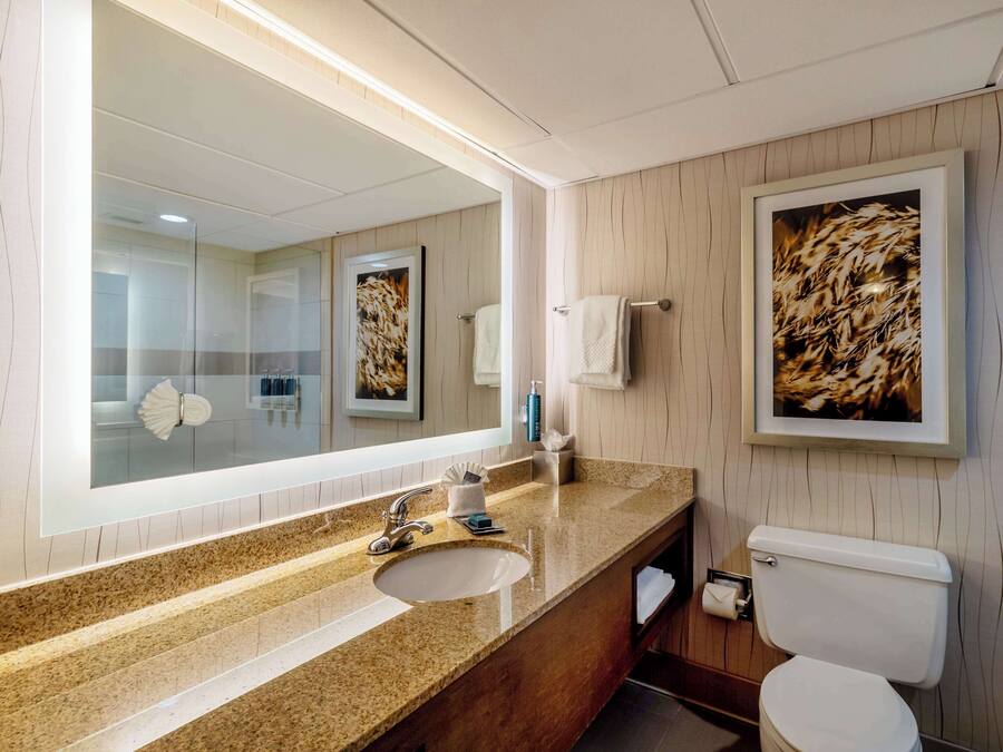 Een moderne badkamer met een grote spiegel, een granieten aanrecht, wastafel en toilet.
