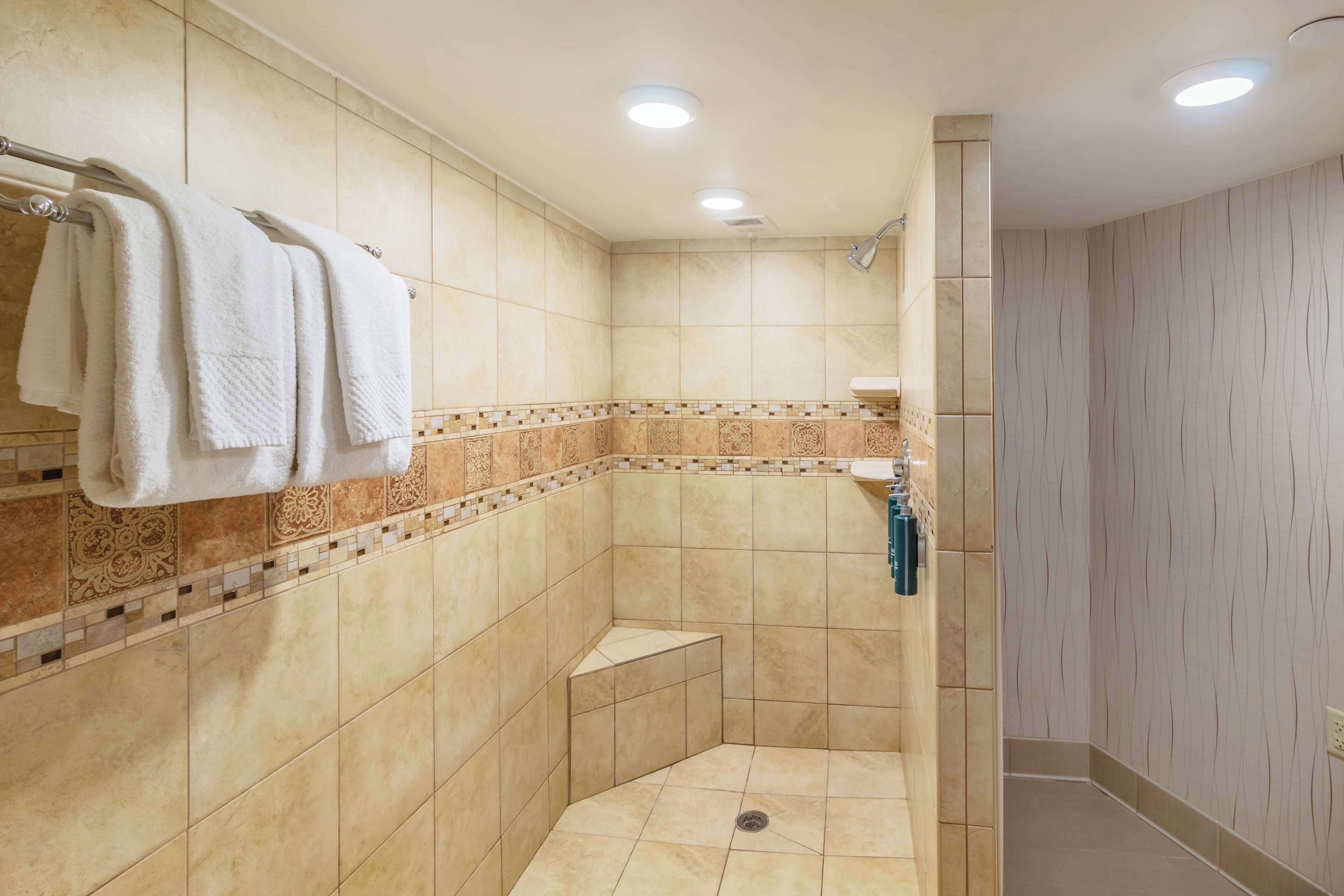 executive suite, 1 king bed, non smoking | bathroom shower